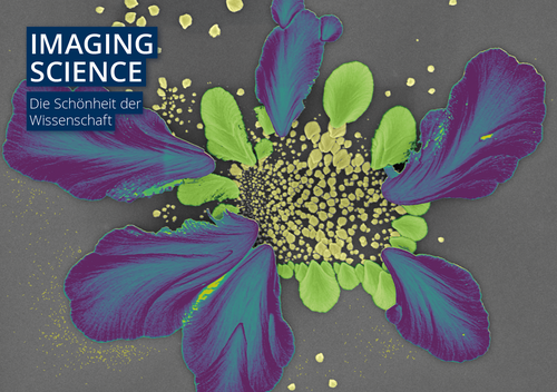 scientific image with text: Imaging Science. Die Schönheit der Wissenschaft.